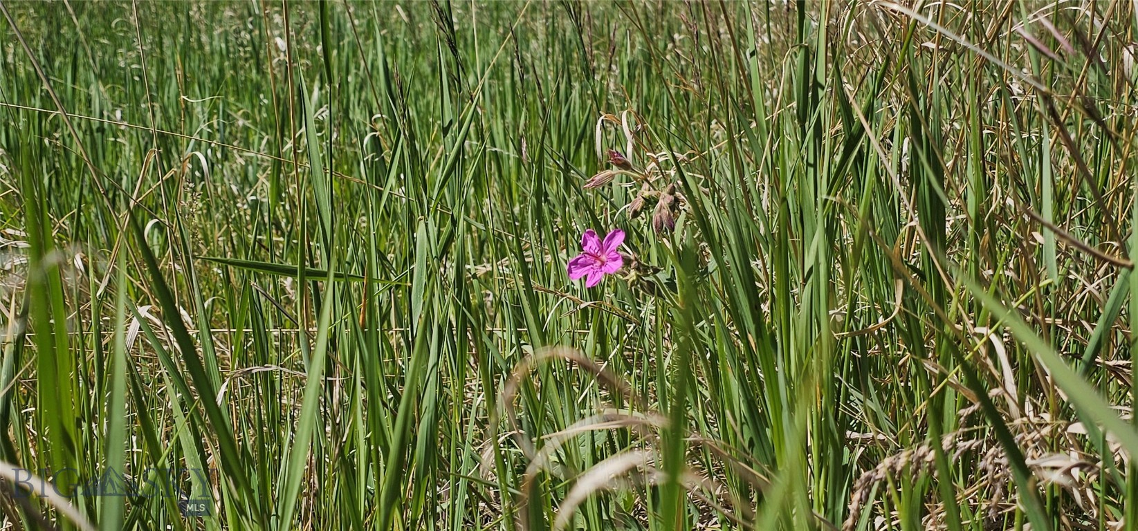 Lot 11 South Boulder Road Cardwell, MT 59721 - Photo 5 of 14 Gallery Image 5