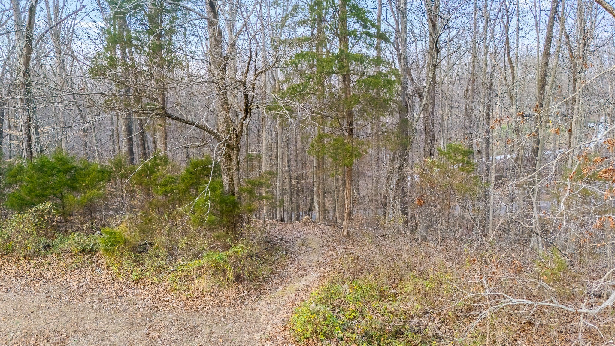 745 Union Ridge Road Wartrace, TN 37183 - Photo 71 of 78