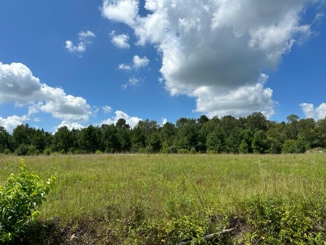 Ninety Ninety 6 Road Neeses, SC 29107 - Photo 1 of 6