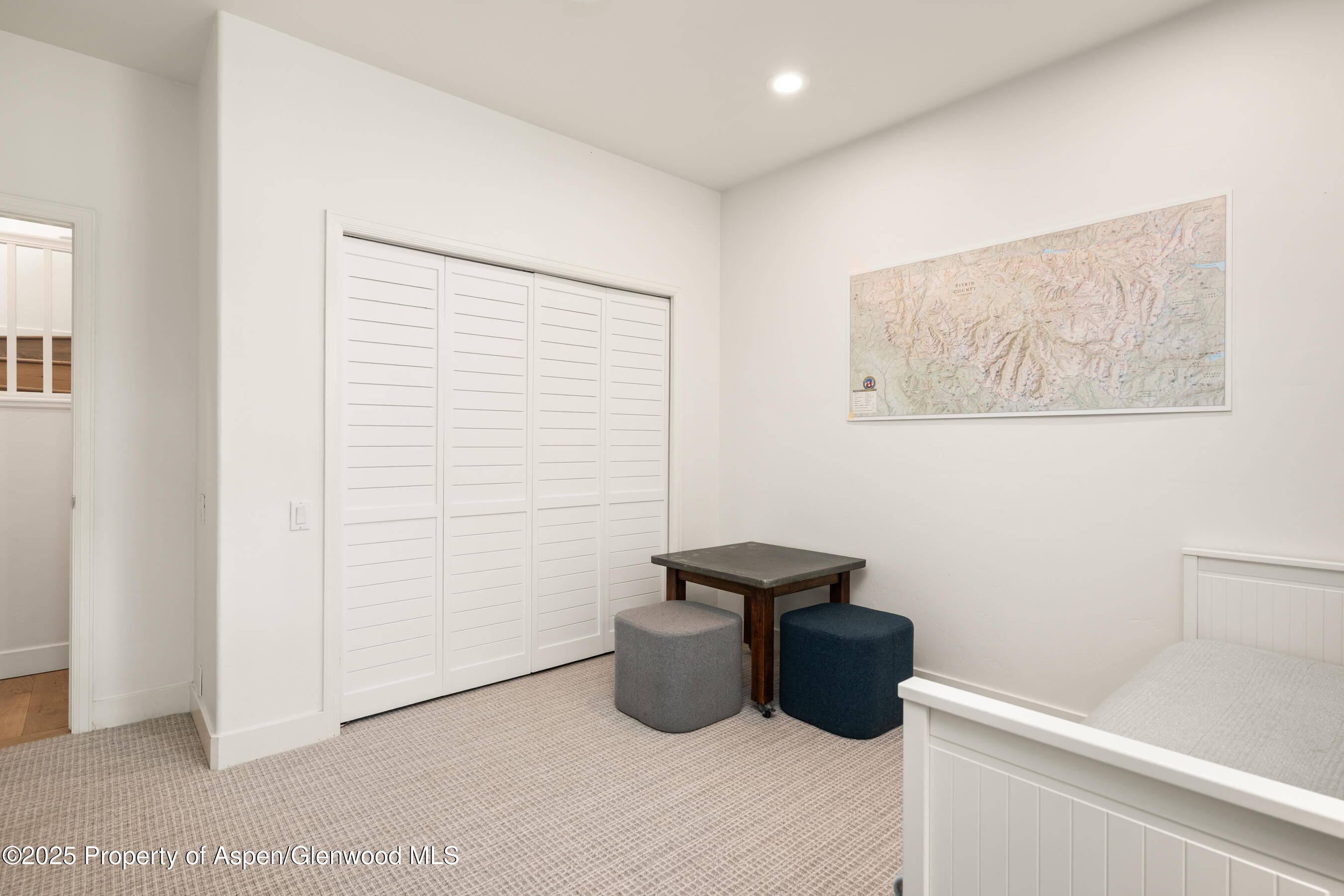 545 Evans Court Basalt, CO 81621 - Photo 18 of 25