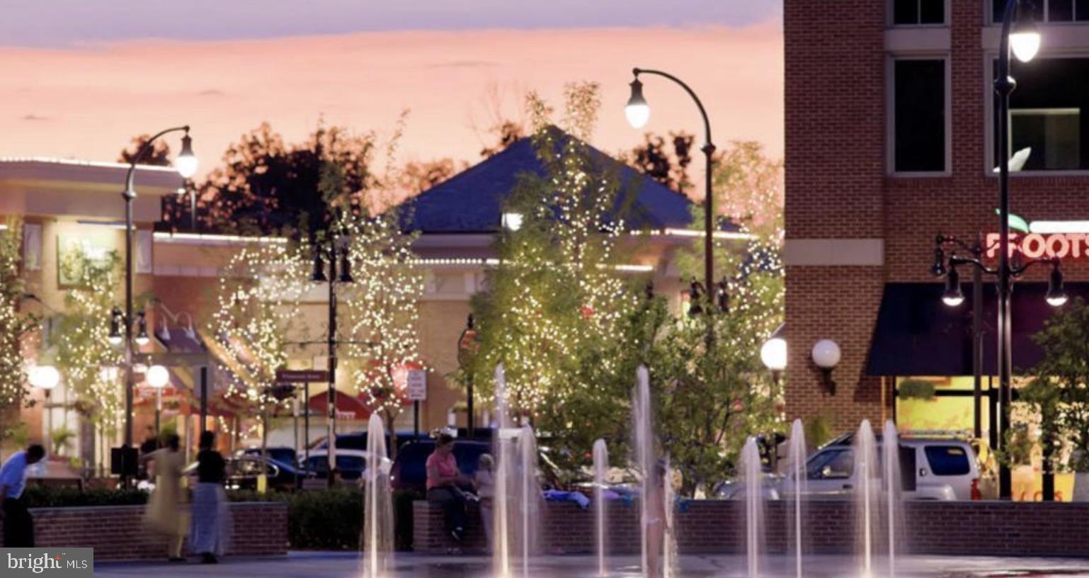 43295 Fieldsview Court Leesburg, VA 20176 - Photo 28 of 30 a picture of street view
