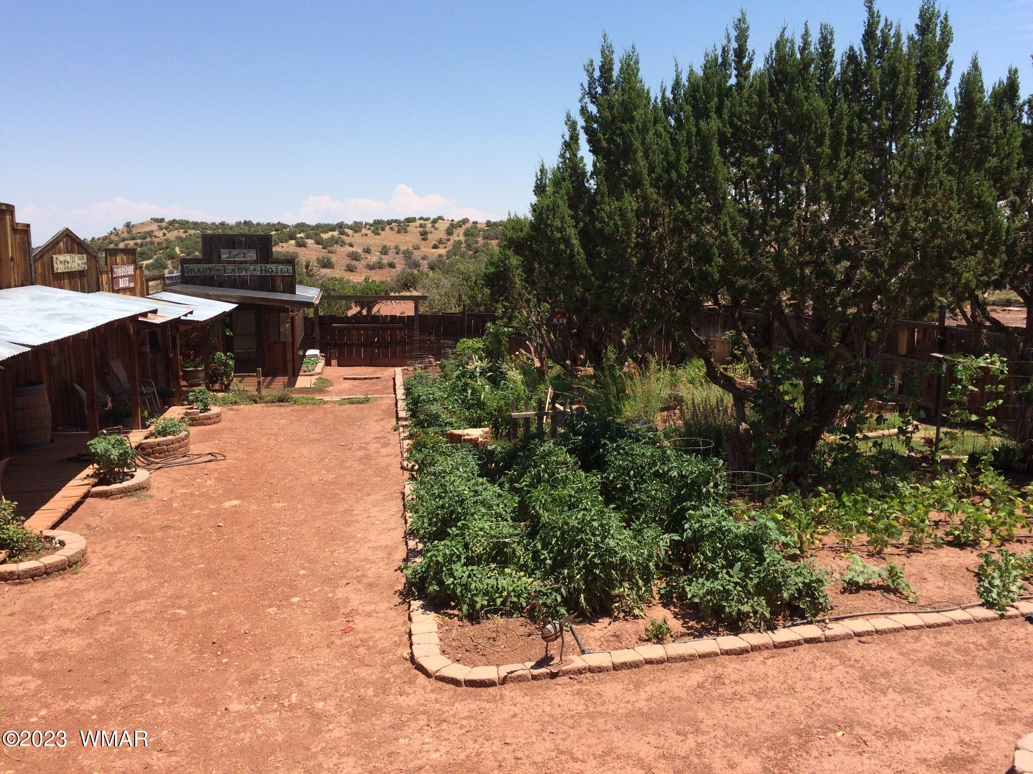 27 County Road Concho, AZ 85924 - Photo 20 of 54 Garden