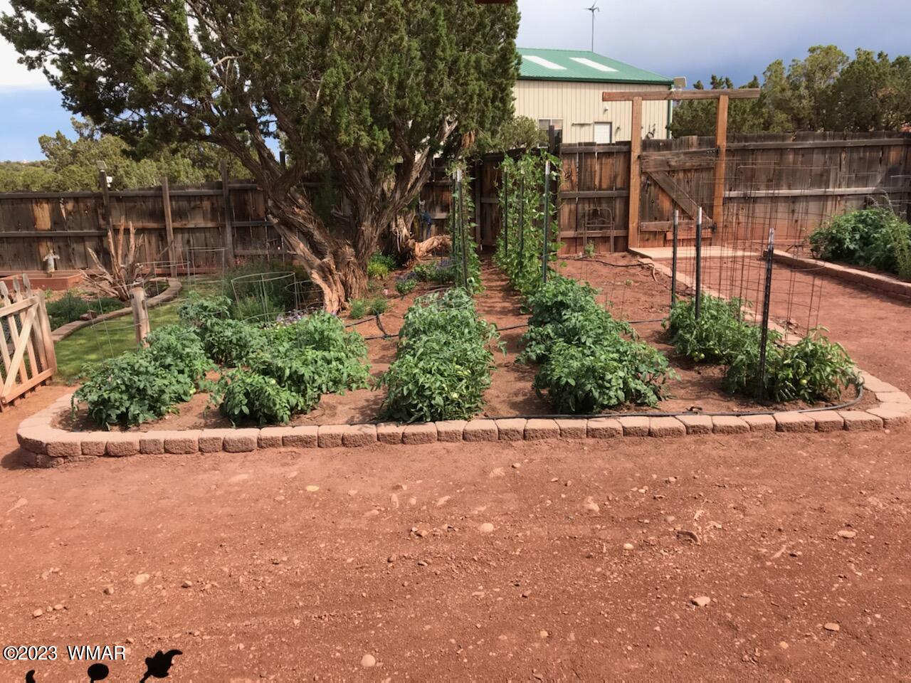 27 County Road Concho, AZ 85924 - Photo 22 of 54 Garden