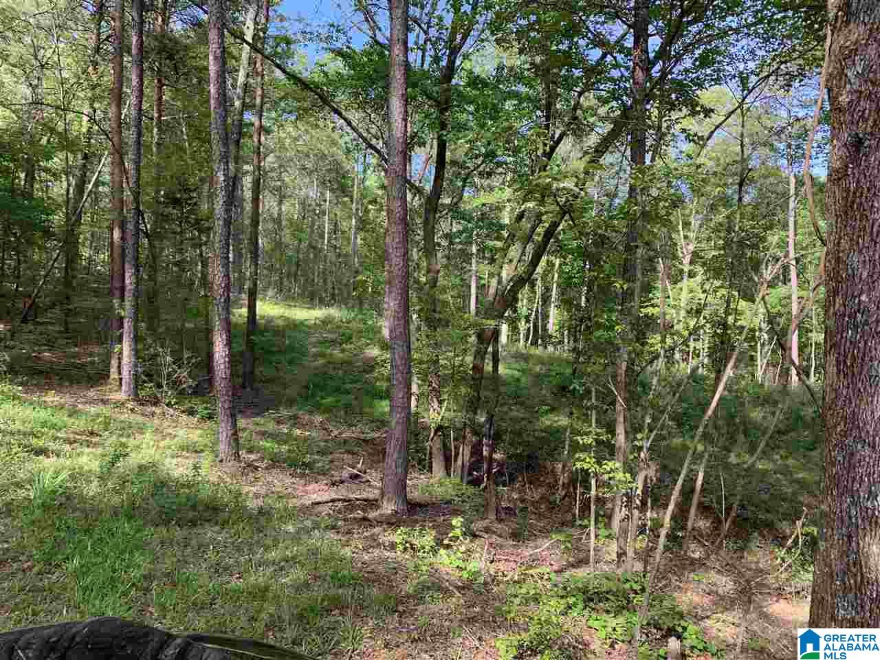 1585 Rex Lake Road, Unit 1585 Leeds, AL 35094 - Photo 8 of 16