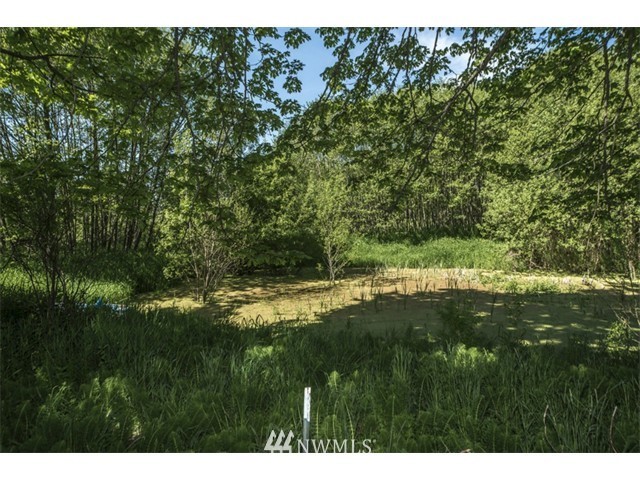 17398 Blodgett Road Mount Vernon, WA 98274 - Photo 16 of 18 Gallery Image 16