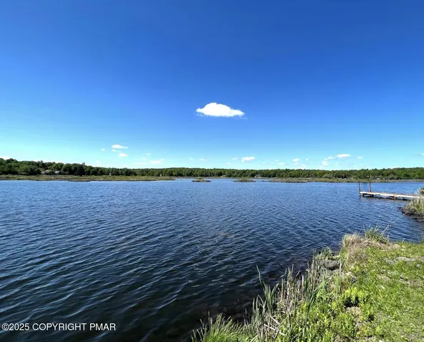 a view of a lake from a yard