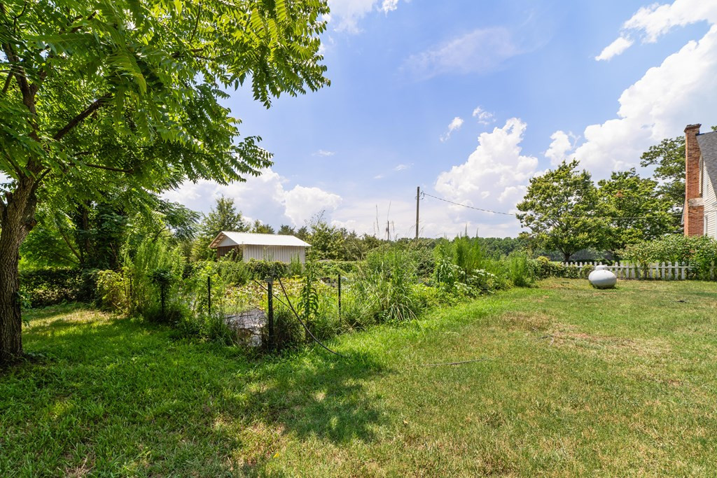 1551 State Rd S-38-668 Cameron, SC 29030 - Photo 39 of 40 Photo 39