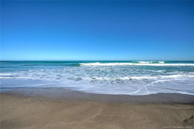 a view of a park with plants and palm trees