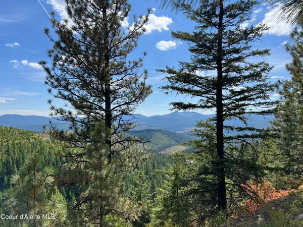 $69,900 | 1425 Upriver View Drive, Fernwood, ID 83830