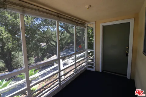 a view of a yard with plants and a large tree