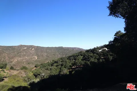 a kitchen with a stove and a refrigerator