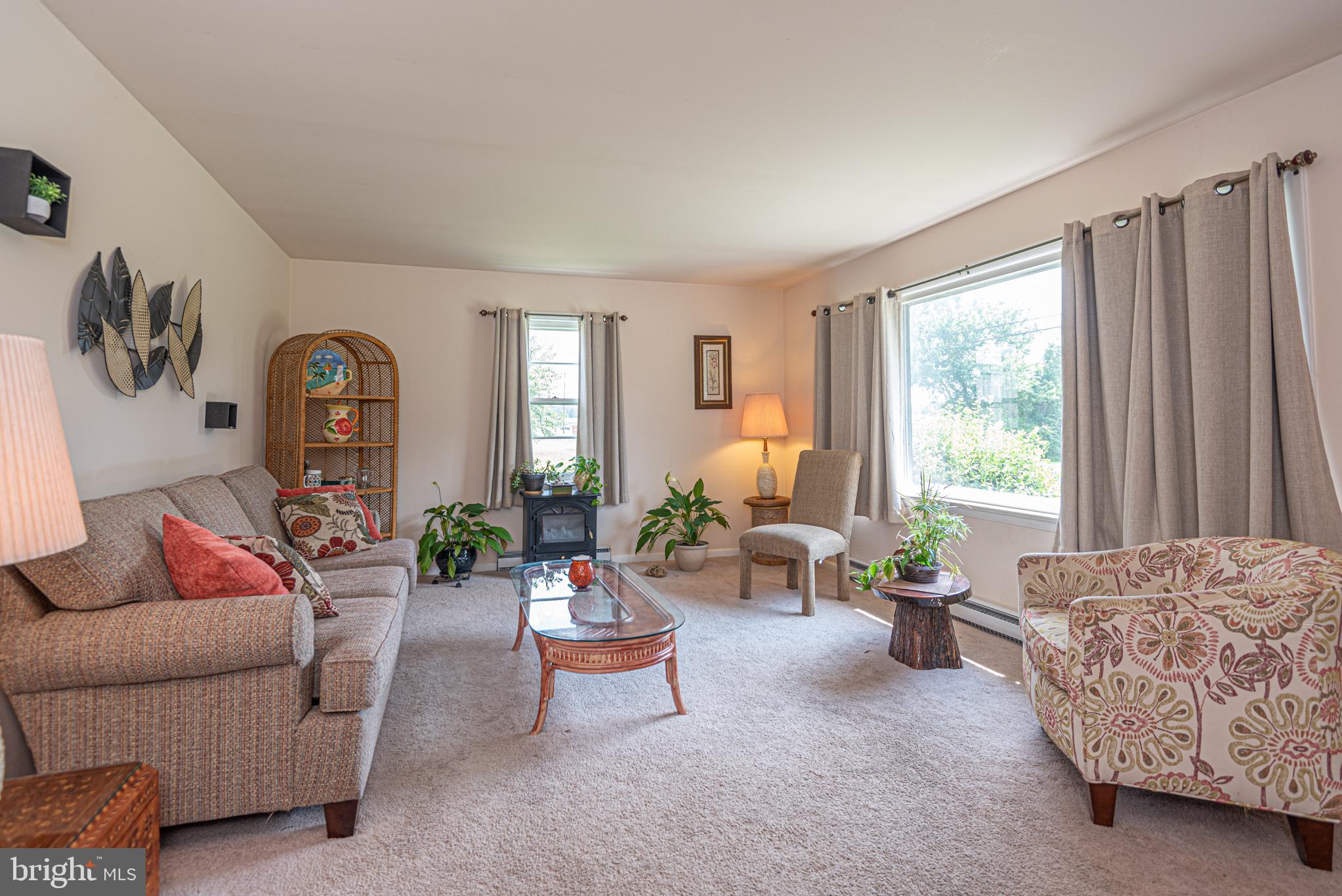 7231 Friendship Road Pittsville, MD 21850 - Photo 4 of 48