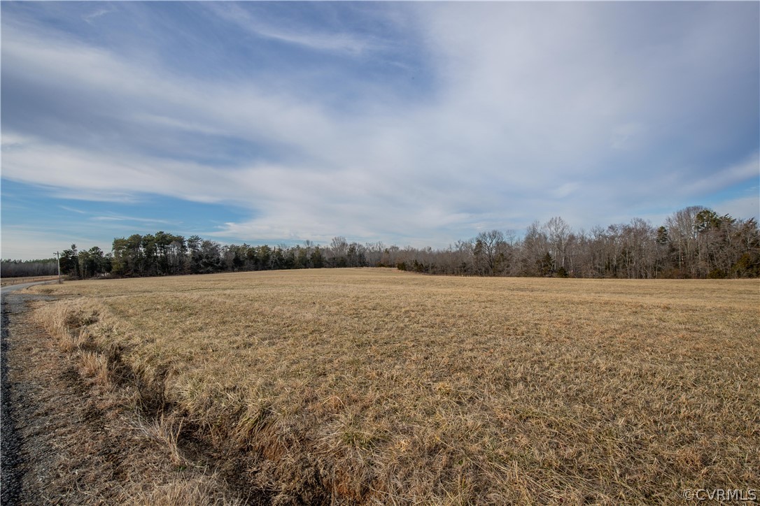 Lot 3 Carter Road Cumberland, VA 23040 - Photo 4 of 16 Gallery Image 4
