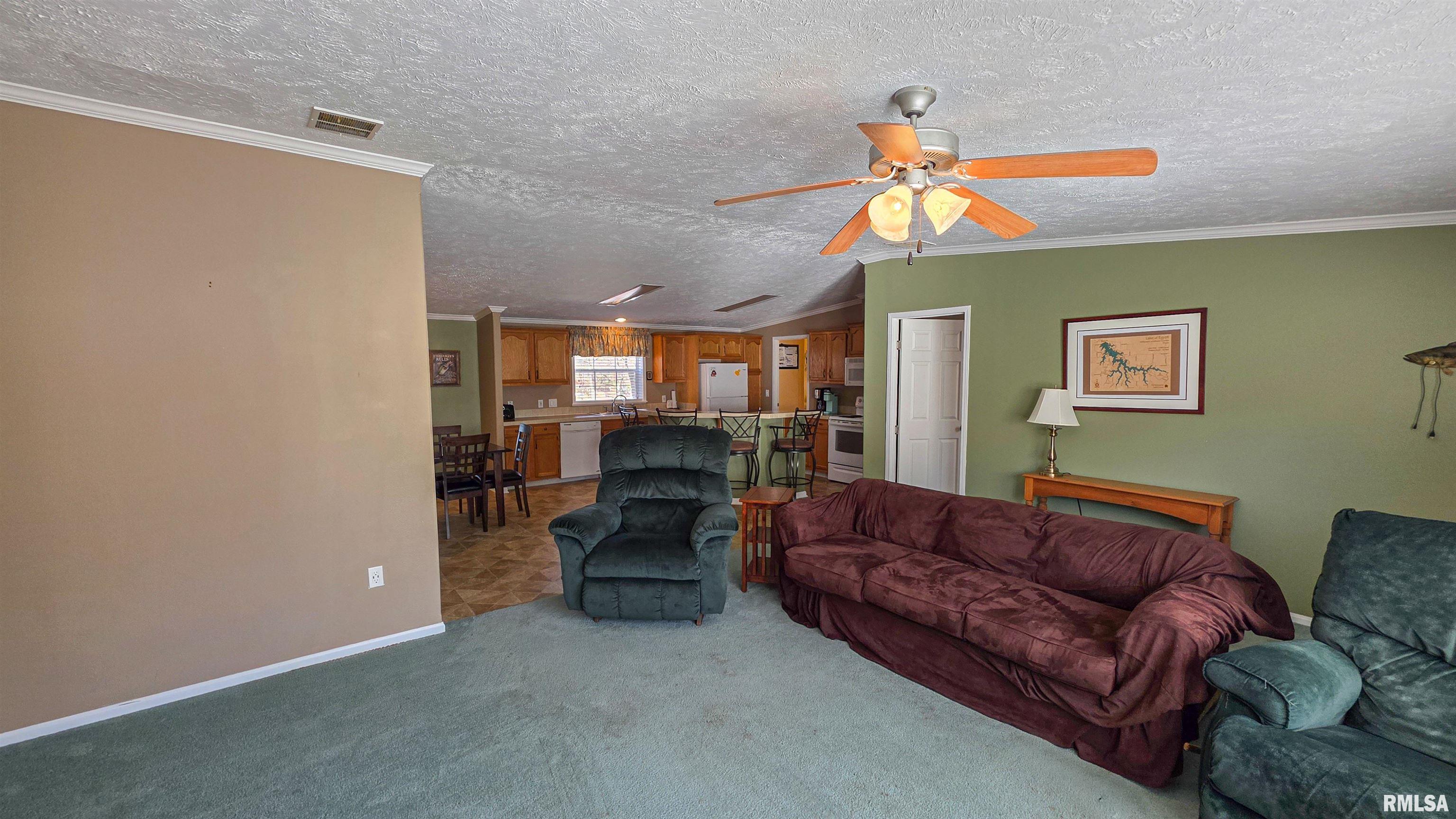 50 Shaw Road Creal Springs, IL 62922 - Photo 26 of 44