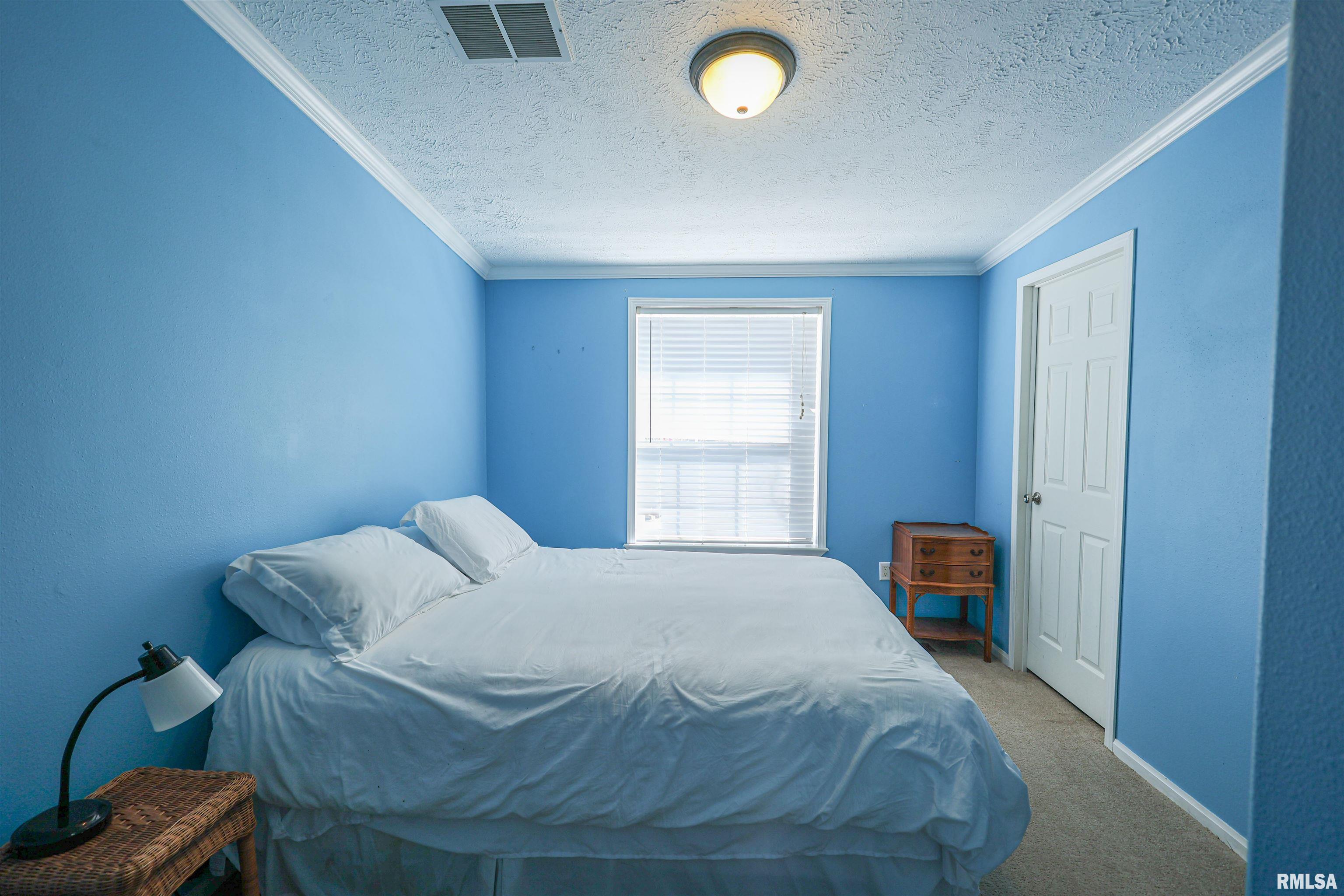 50 Shaw Road Creal Springs, IL 62922 - Photo 28 of 44