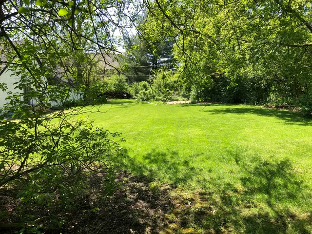 a view of yard with swimming pool