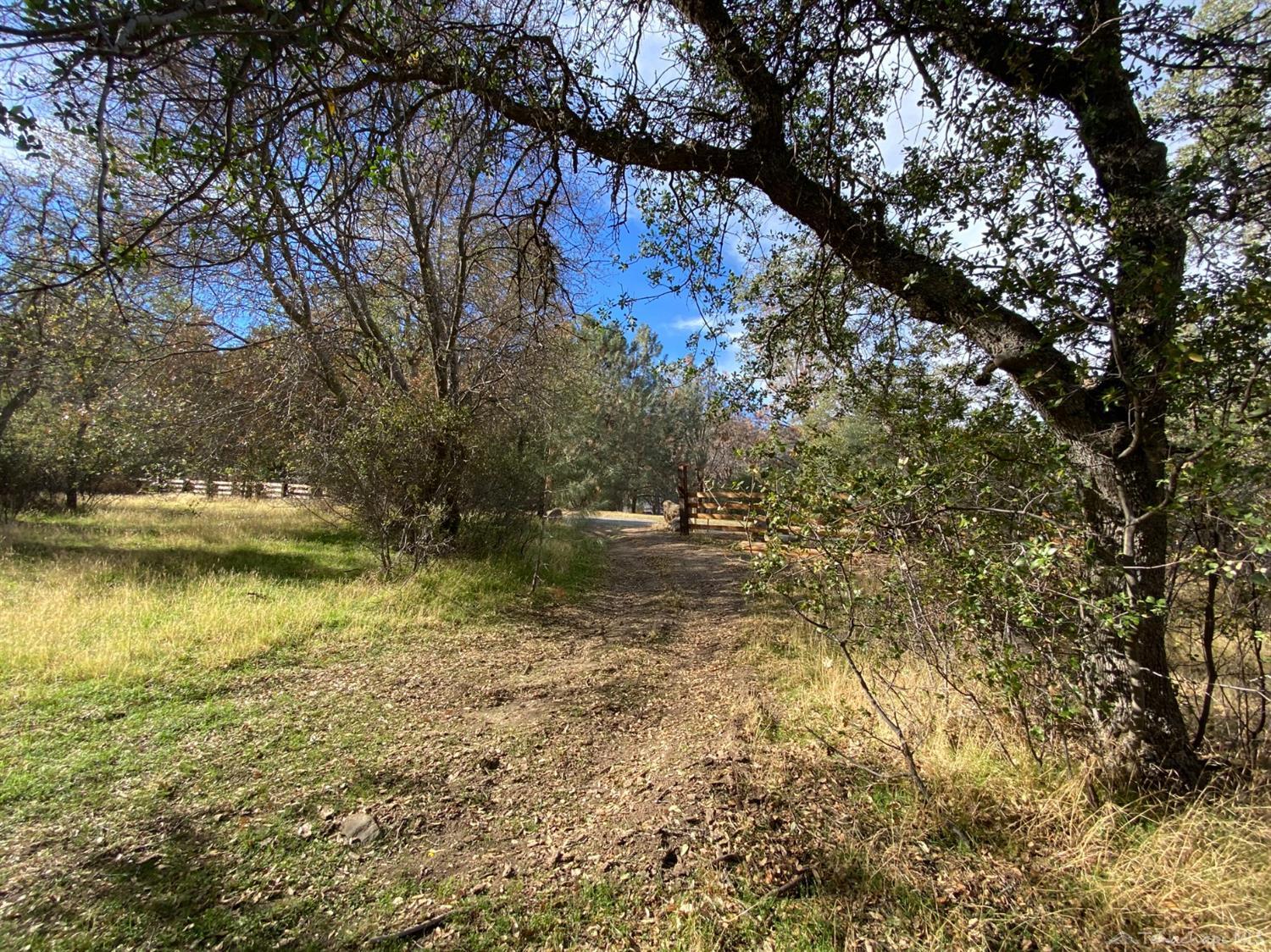 0 Valley Oak Road Keene, CA 93531 - Photo 11 of 20 Gallery Image 11