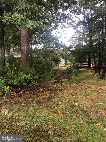 a view of a yard with trees