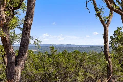 a view of a bunch of trees and bushes