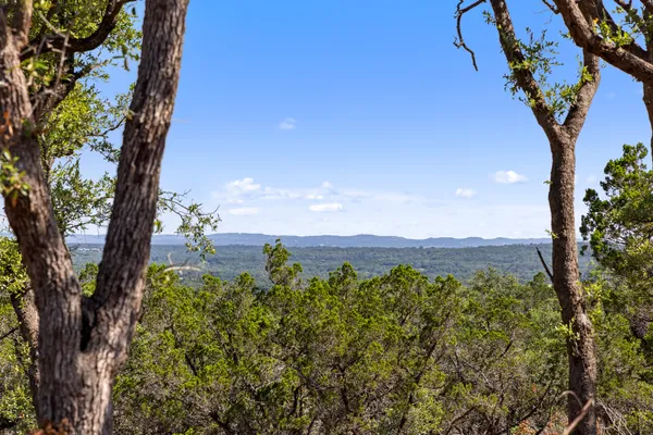 a view of a bunch of trees and bushes