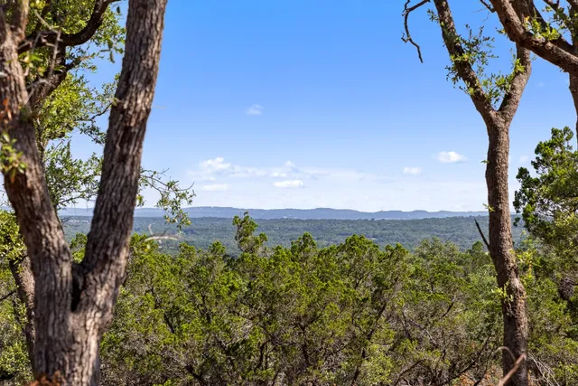 a view of a trees with an outdoor space