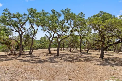 a view of road and trees