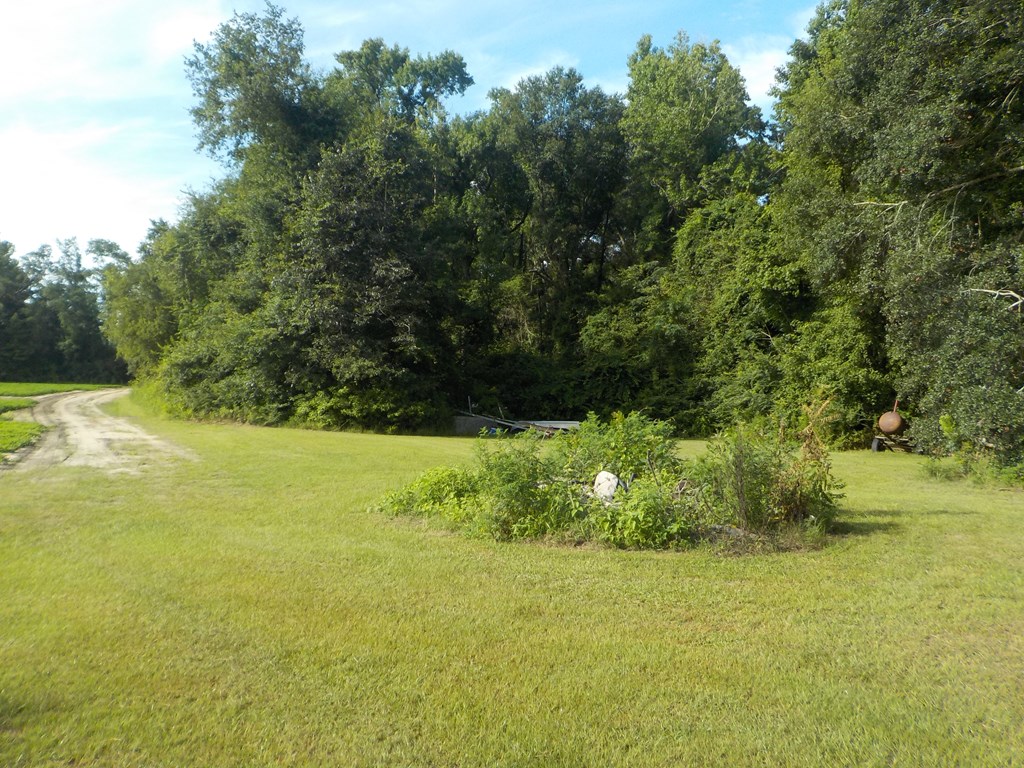 210-ac Jernigan Road Gordon, AL 36343 - Photo 8 of 36