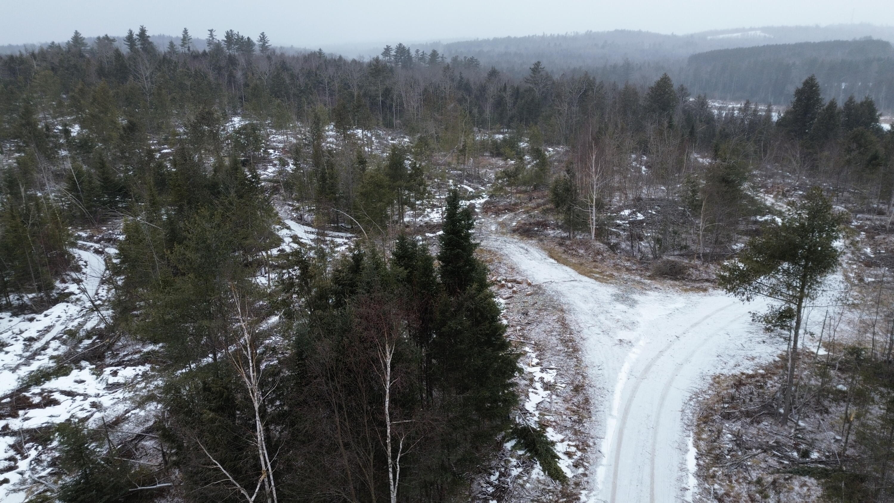 Lot 11 Parker Pond Road Sebec, ME 04481 - Photo 3 of 17 DJI_0444