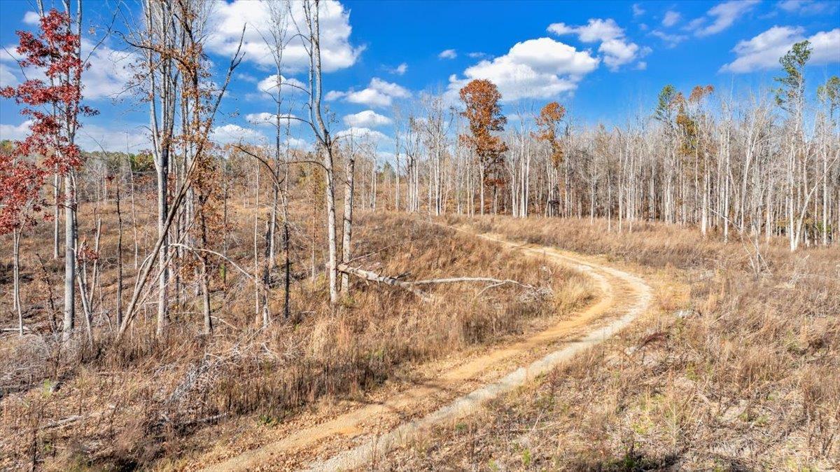 5050 Falkland Road Scottsburg, VA 24589 - Photo 82 of 97