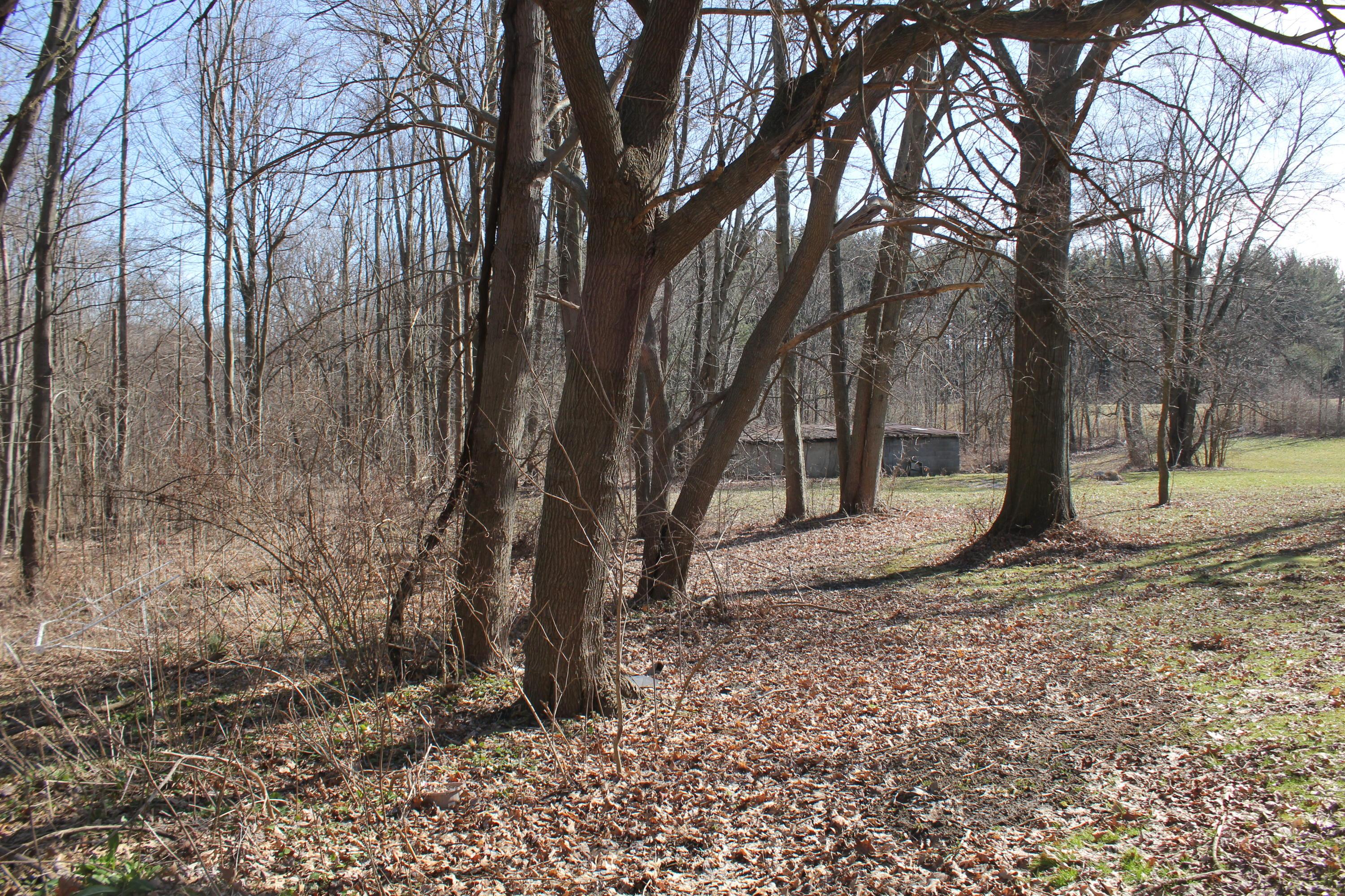 8696 Dunham Road Mount Vernon, OH 43050 - Photo 7 of 30