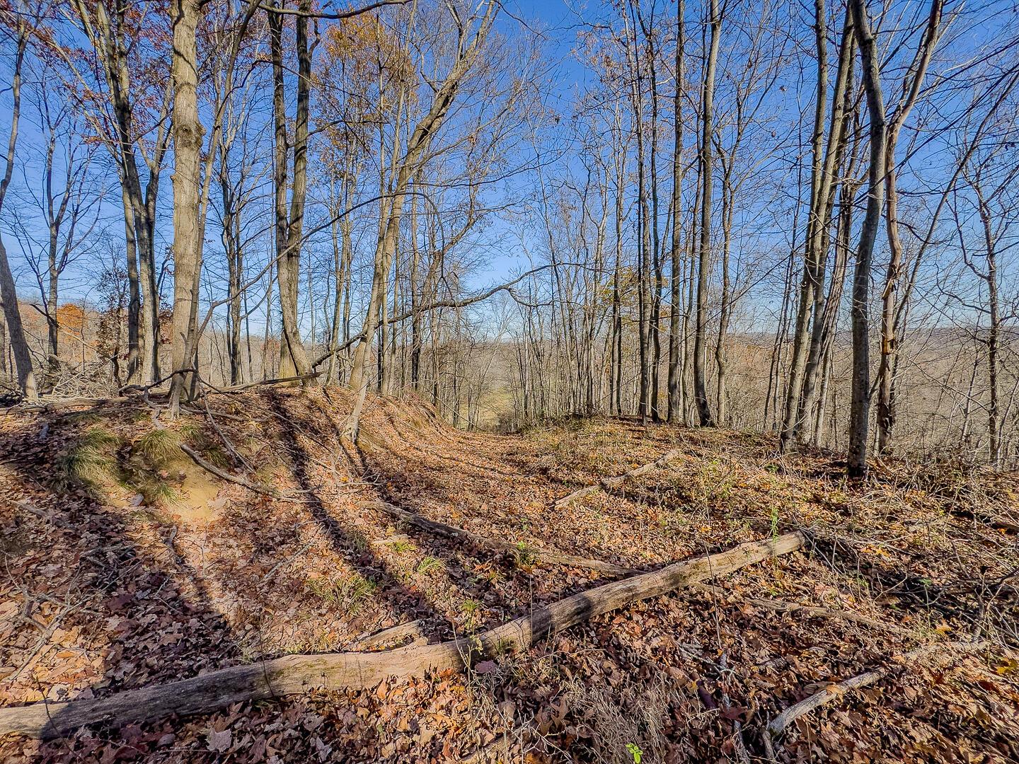 9615 Rural Dale Road Blue Rock, OH 43720 - Photo 60 of 83 9615 Rural Dale Rd-60