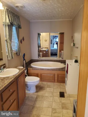 a bathroom with a sink a toilet and mirror
