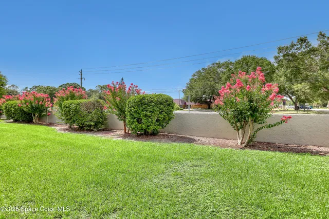 a view of a flower in a garden