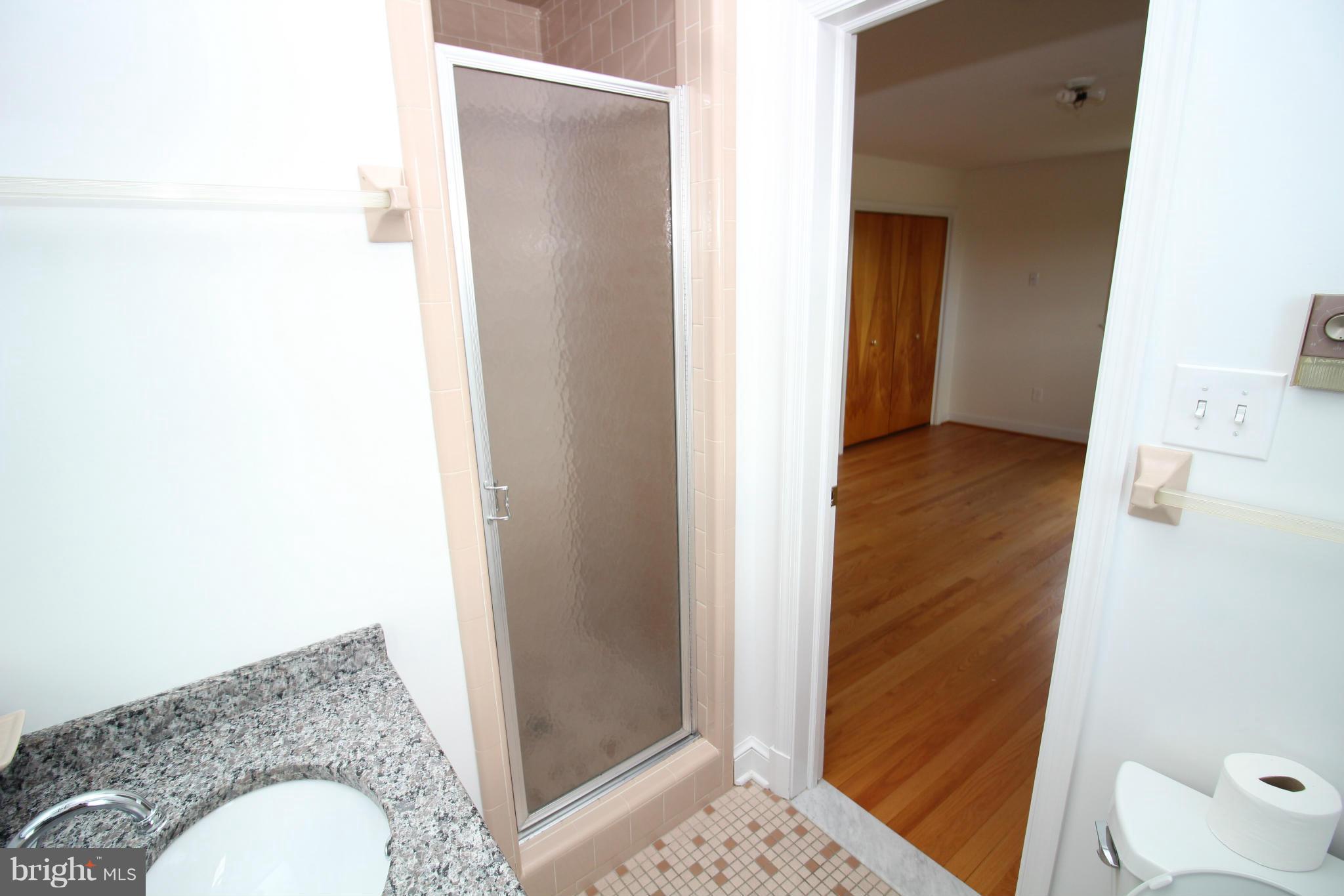 27000 Clarksburg Road Damascus, MD 20872 - Photo 19 of 30 Bath (Master)