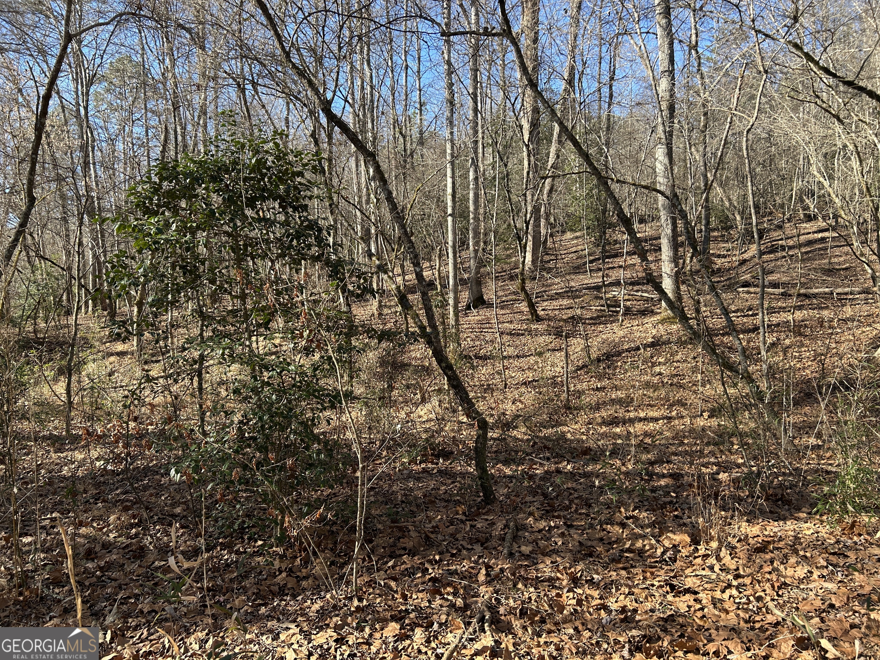 0 Twin River Orchard Road, Unit TRACT 1 Demorest, GA 30535 - Photo 13 of 63