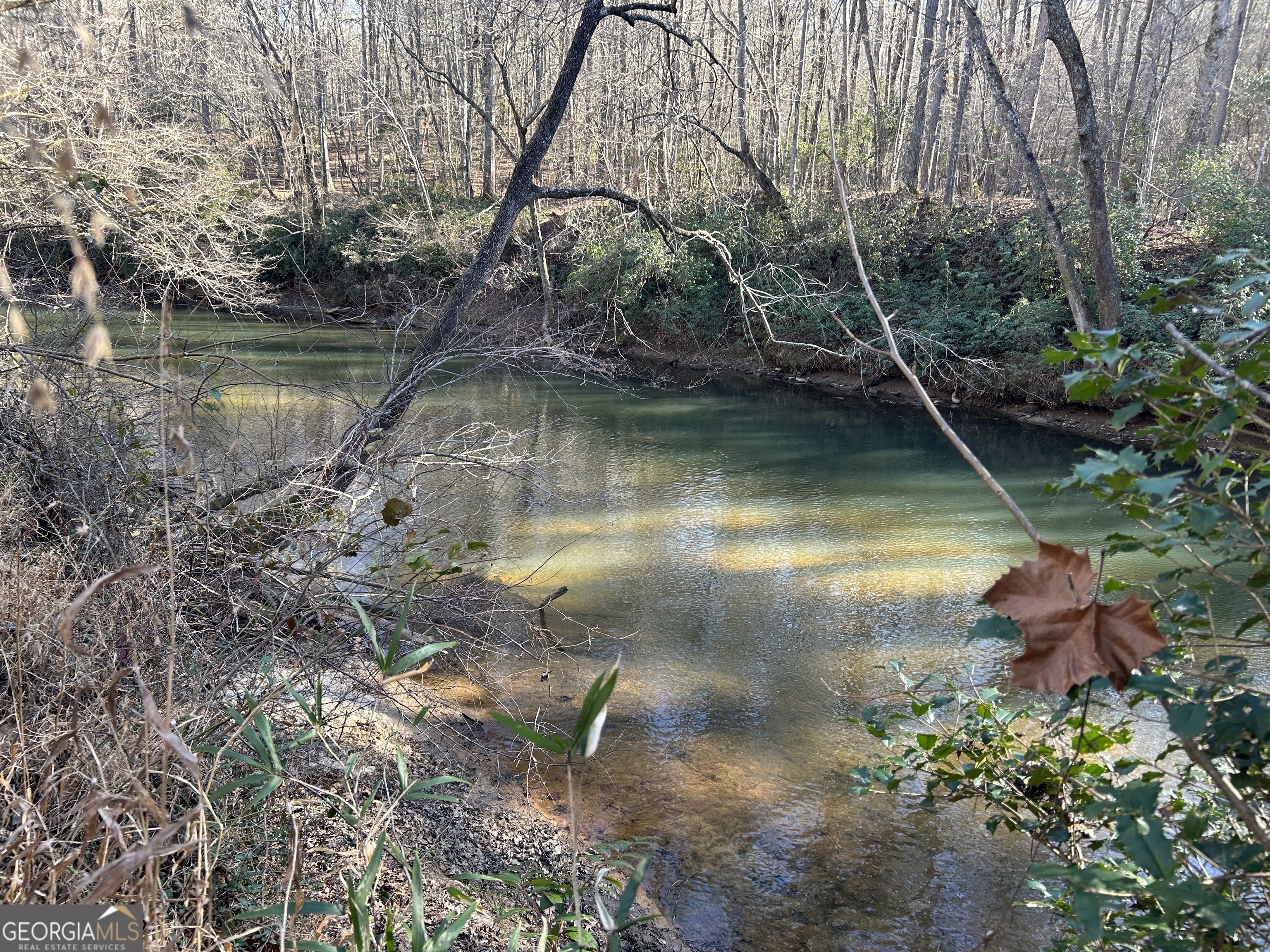 0 Twin River Orchard Road, Unit TRACT 1 Demorest, GA 30535 - Photo 15 of 63 a view of a lake view