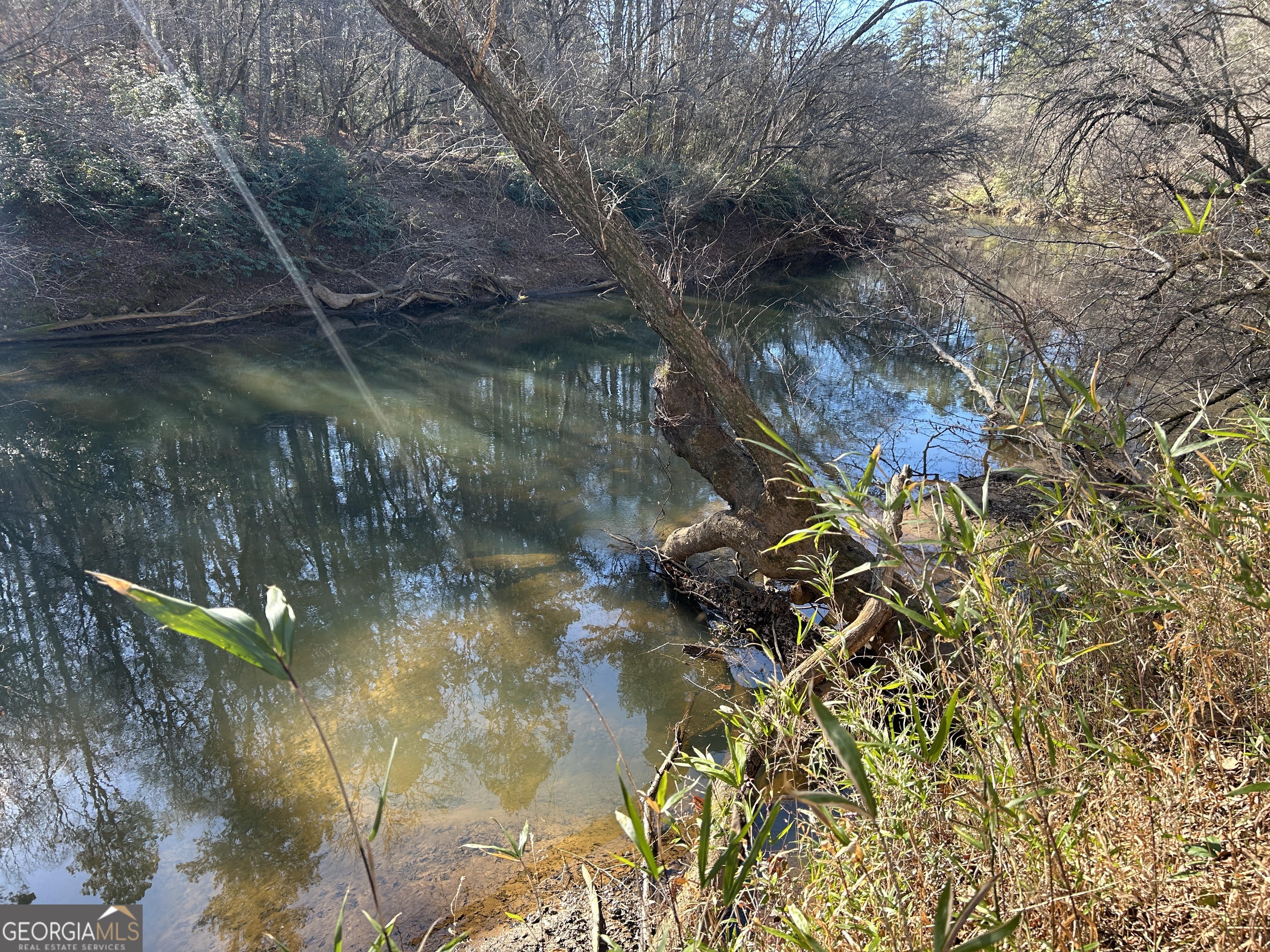 0 Twin River Orchard Road, Unit TRACT 1 Demorest, GA 30535 - Photo 19 of 63 a view of a lake from a yard