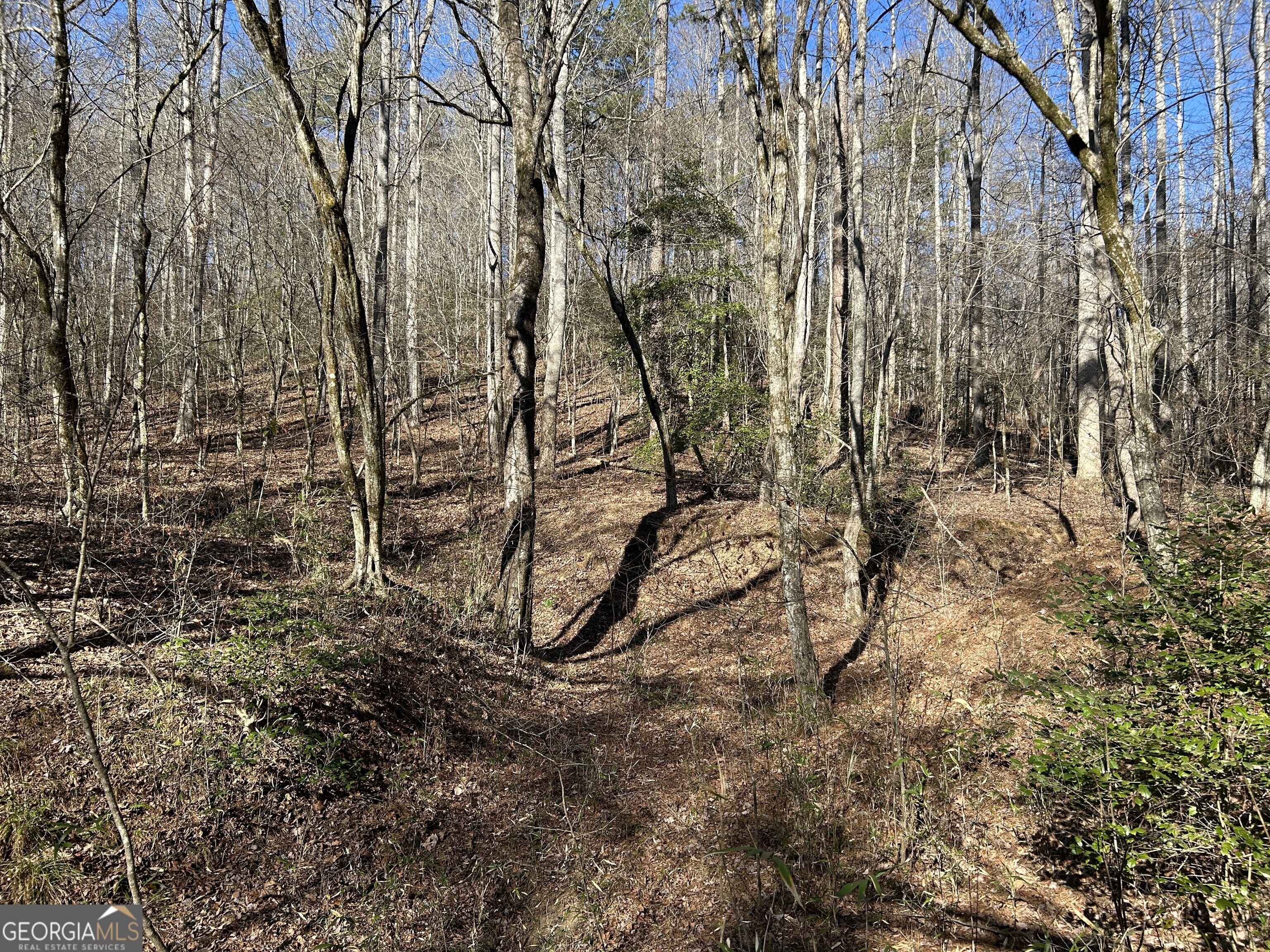 0 Twin River Orchard Road, Unit TRACT 1 Demorest, GA 30535 - Photo 20 of 63