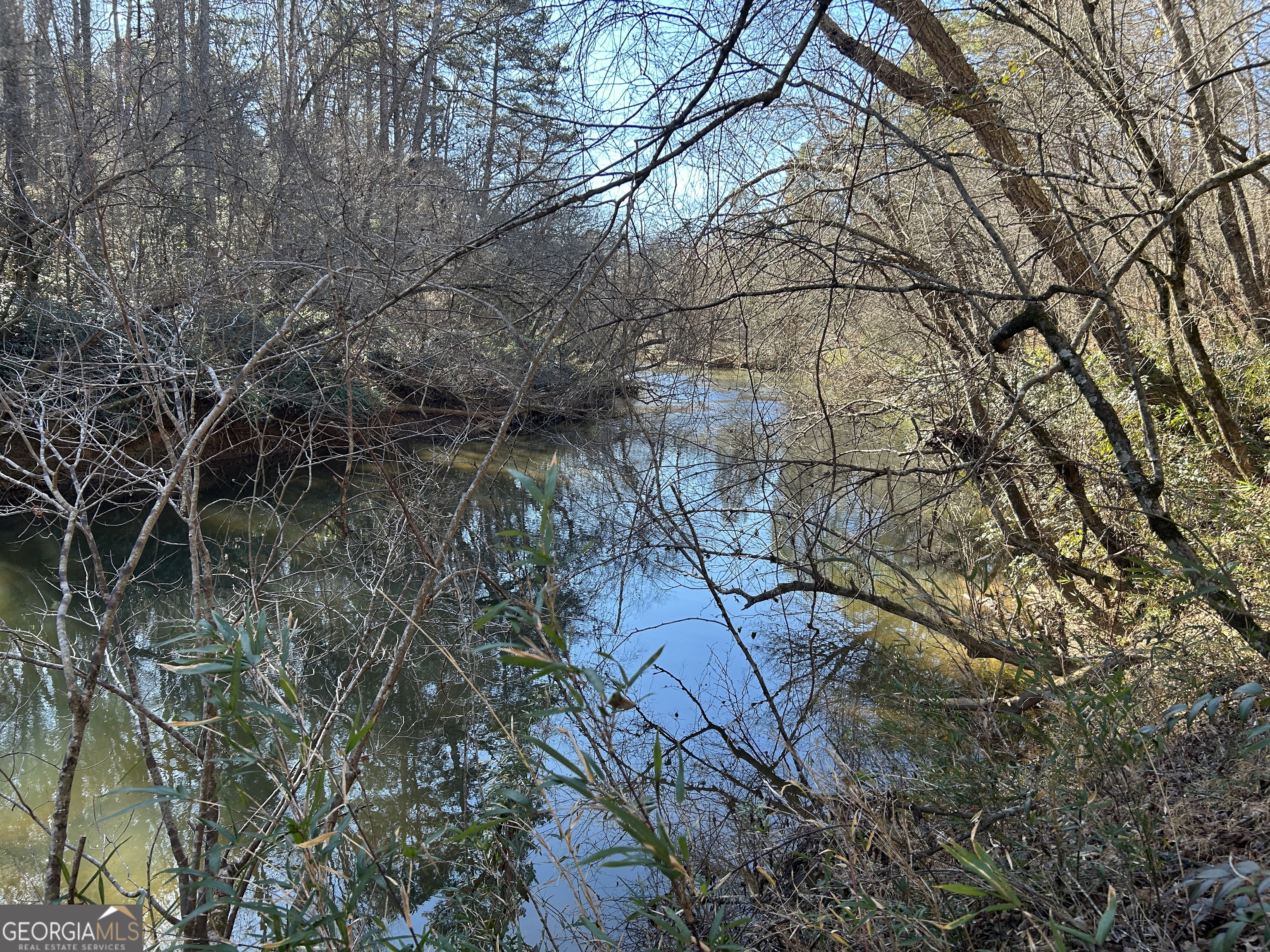 0 Twin River Orchard Road, Unit TRACT 1 Demorest, GA 30535 - Photo 21 of 63 a backyard of a house with lots of green space