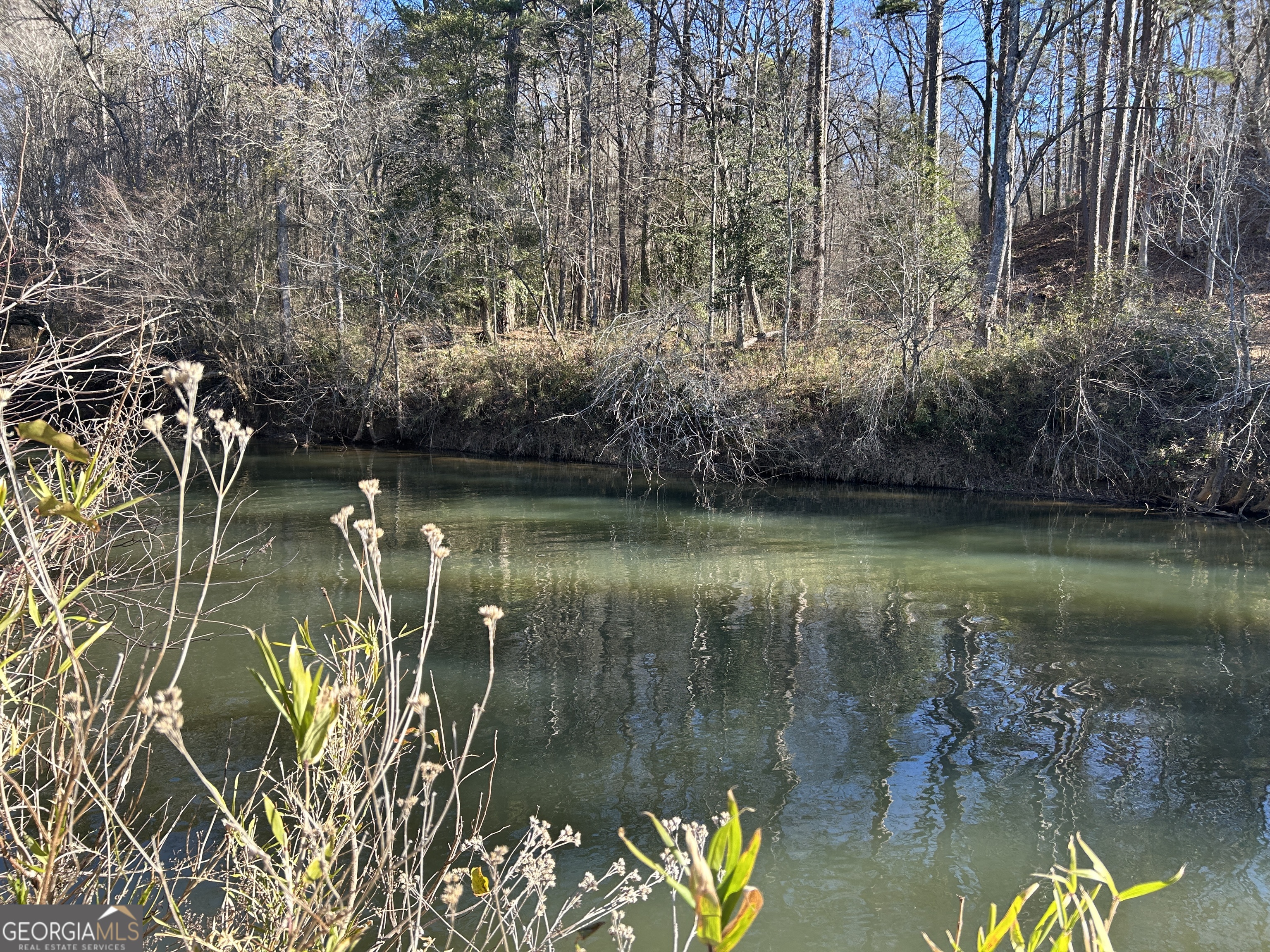 0 Twin River Orchard Road, Unit TRACT 1 Demorest, GA 30535 - Photo 25 of 63 a view of a lake with a house in the background