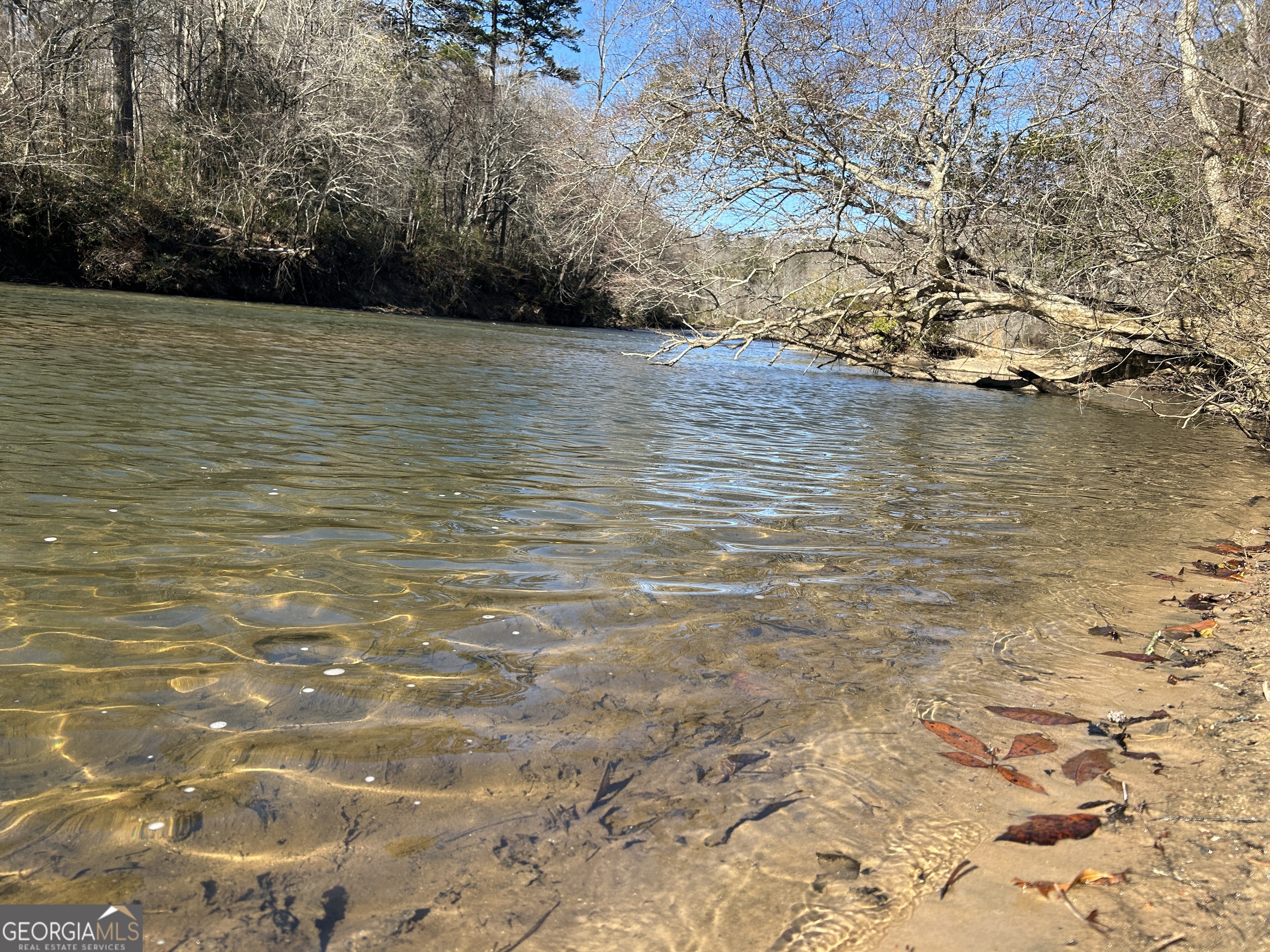 0 Twin River Orchard Road, Unit TRACT 1 Demorest, GA 30535 - Photo 29 of 63 a view of lake