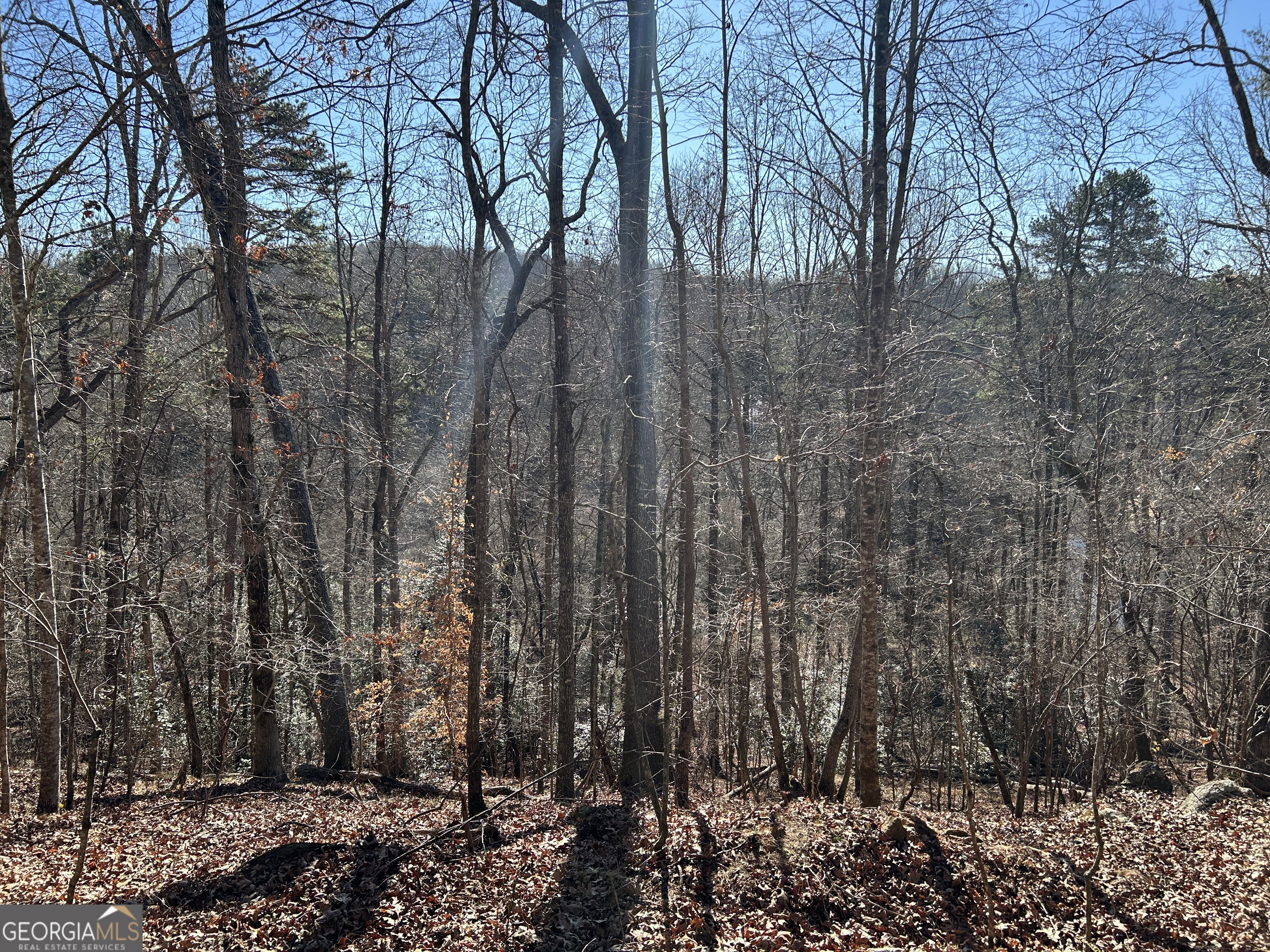 0 Twin River Orchard Road, Unit TRACT 1 Demorest, GA 30535 - Photo 3 of 63 a view of a forest with large trees