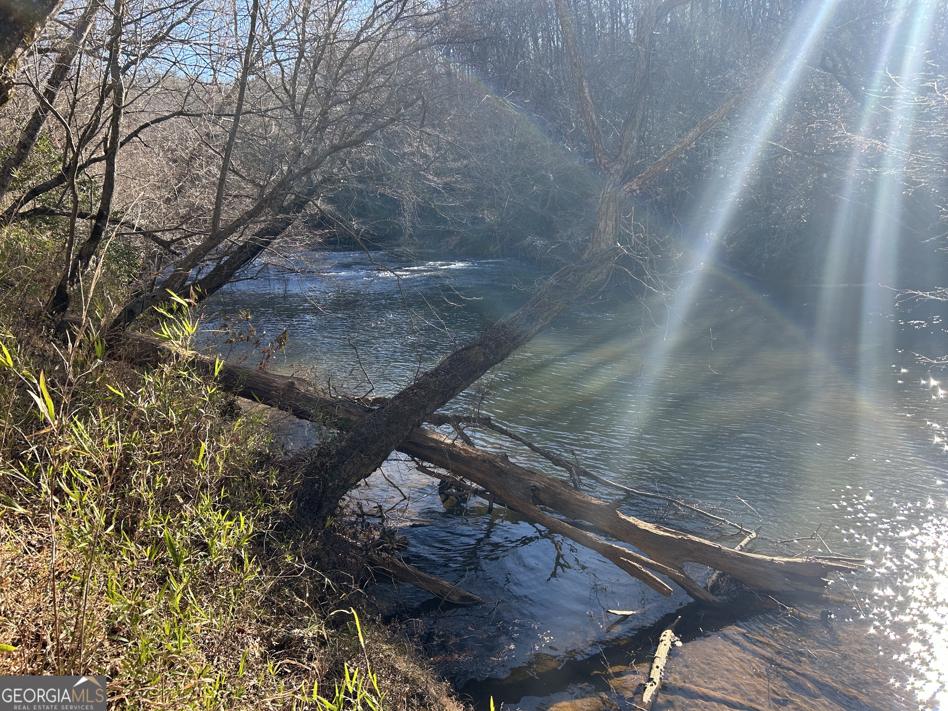 0 Twin River Orchard Road, Unit TRACT 1 Demorest, GA 30535 - Photo 4 of 63 a view of a yard