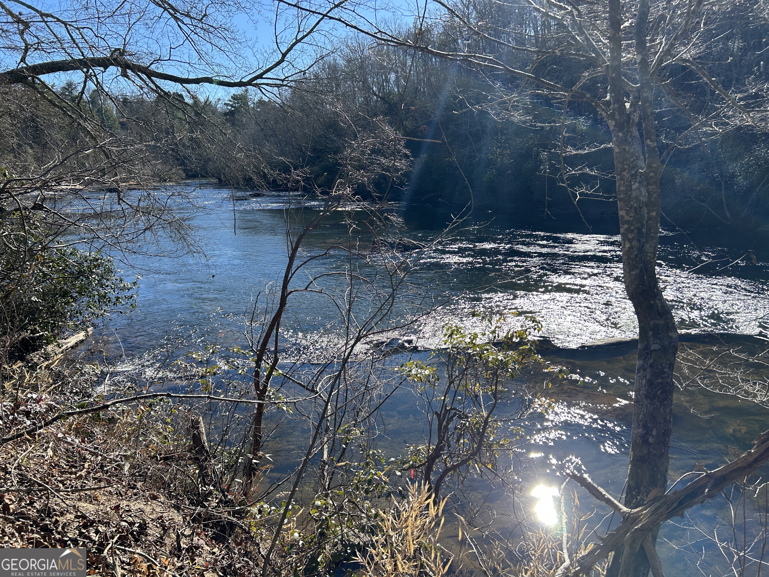 0 Twin River Orchard Road, Unit TRACT 1 Demorest, GA 30535 - Photo 42 of 63 a view of a yard with plants and a bench