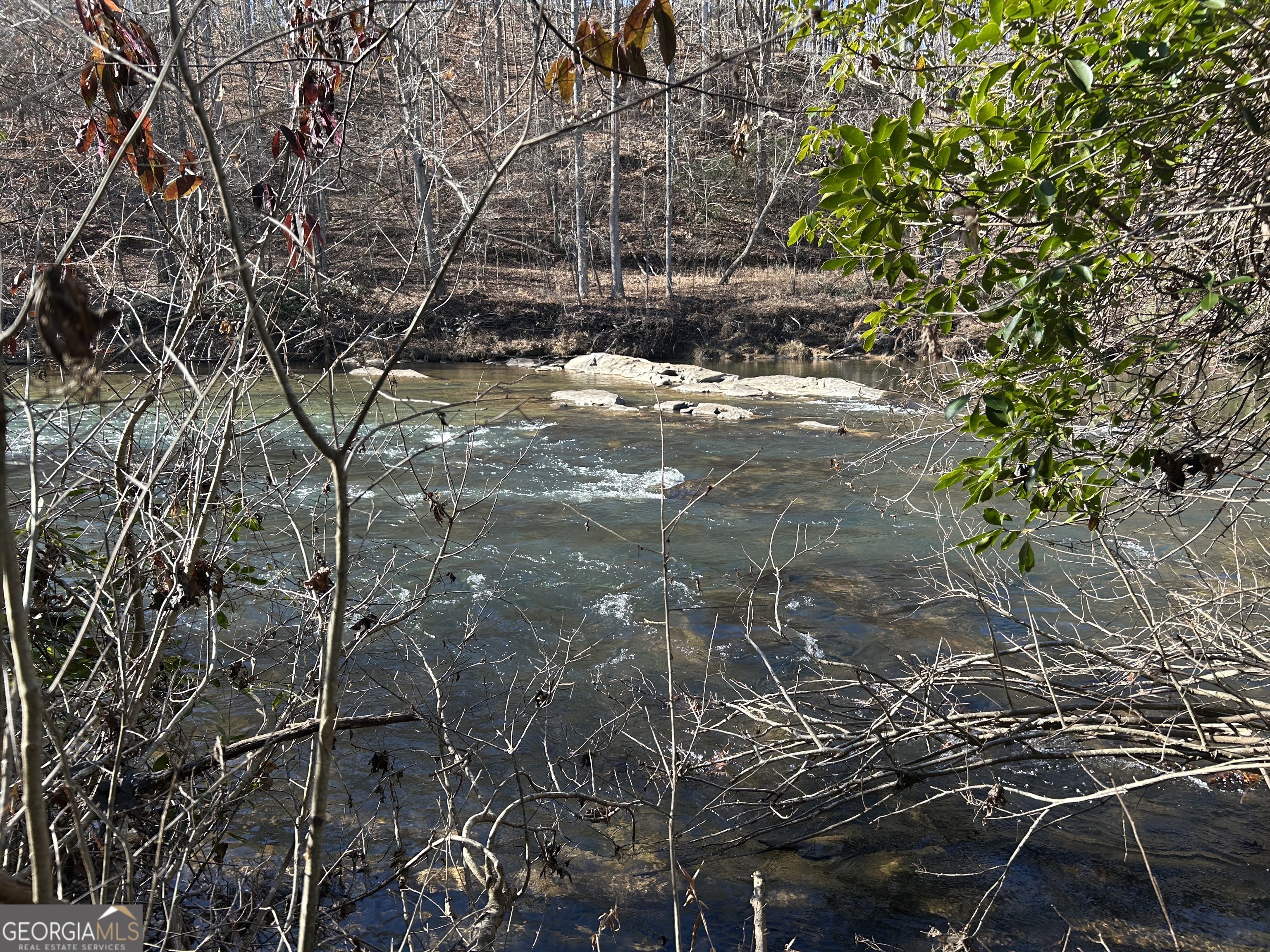0 Twin River Orchard Road, Unit TRACT 1 Demorest, GA 30535 - Photo 46 of 63 a view of outdoor space