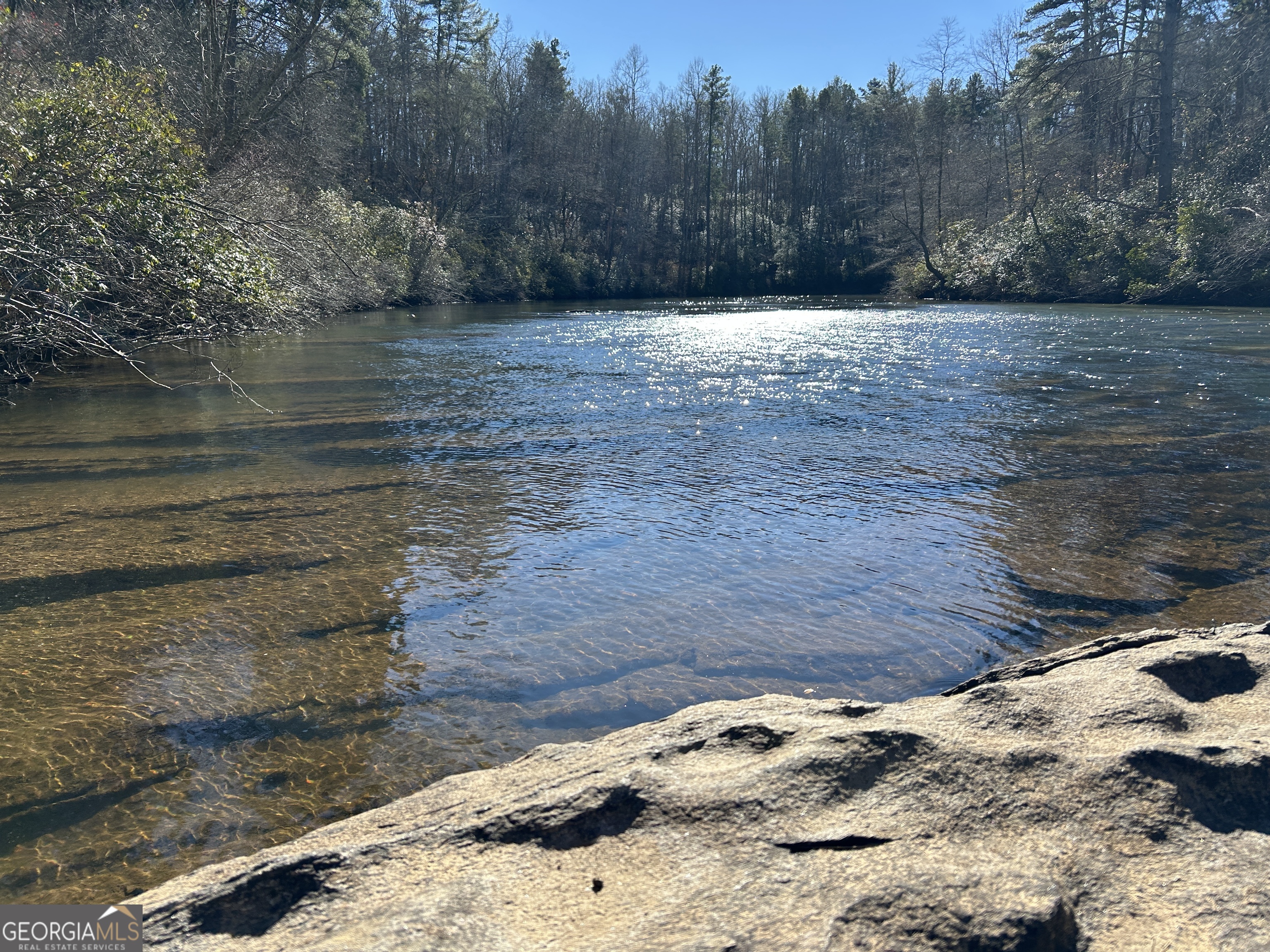 0 Twin River Orchard Road, Unit TRACT 1 Demorest, GA 30535 - Photo 56 of 63 a view of a wooden floor space