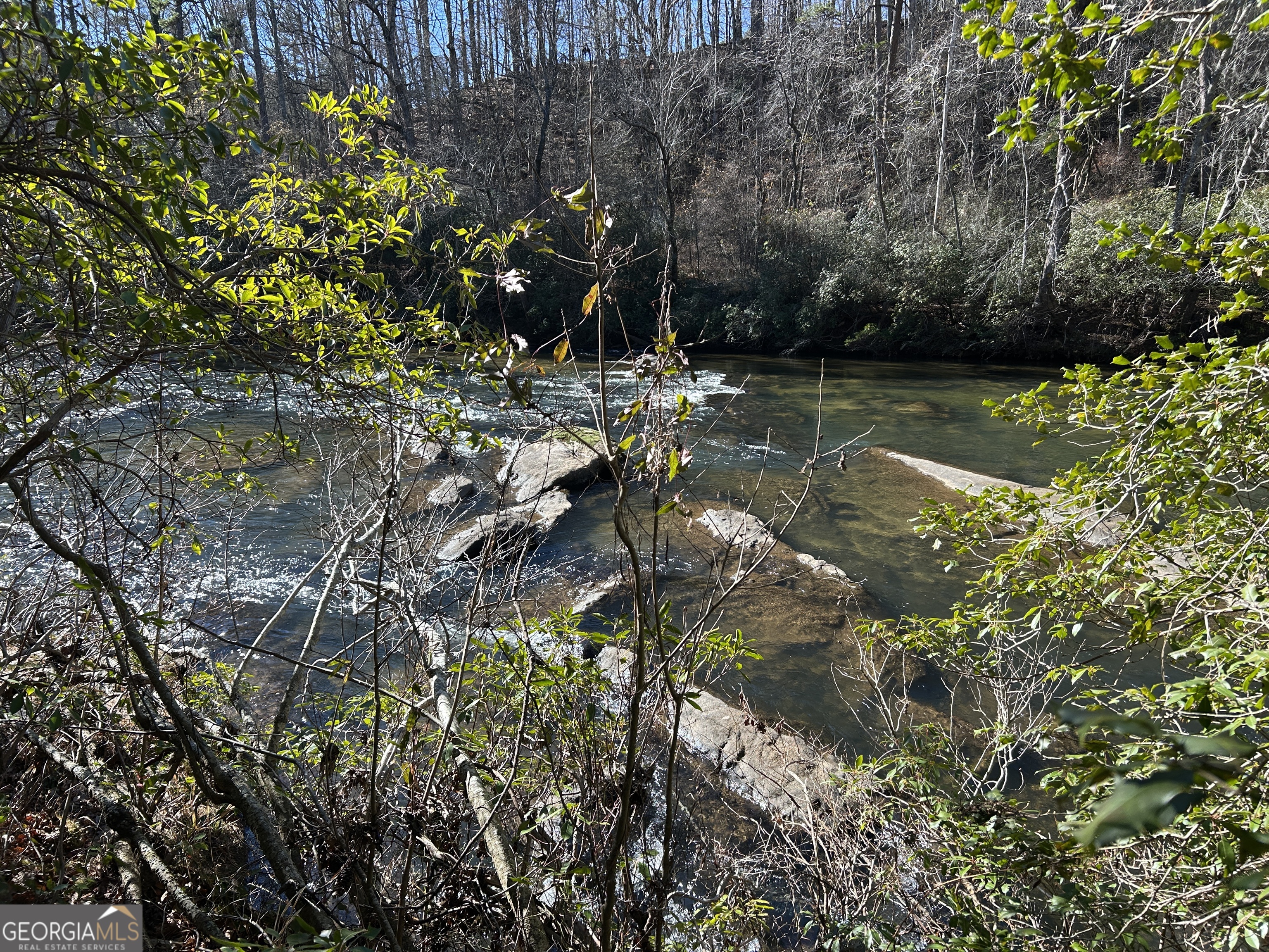 0 Twin River Orchard Road, Unit TRACT 1 Demorest, GA 30535 - Photo 58 of 63 a view of swimming pool with a yard