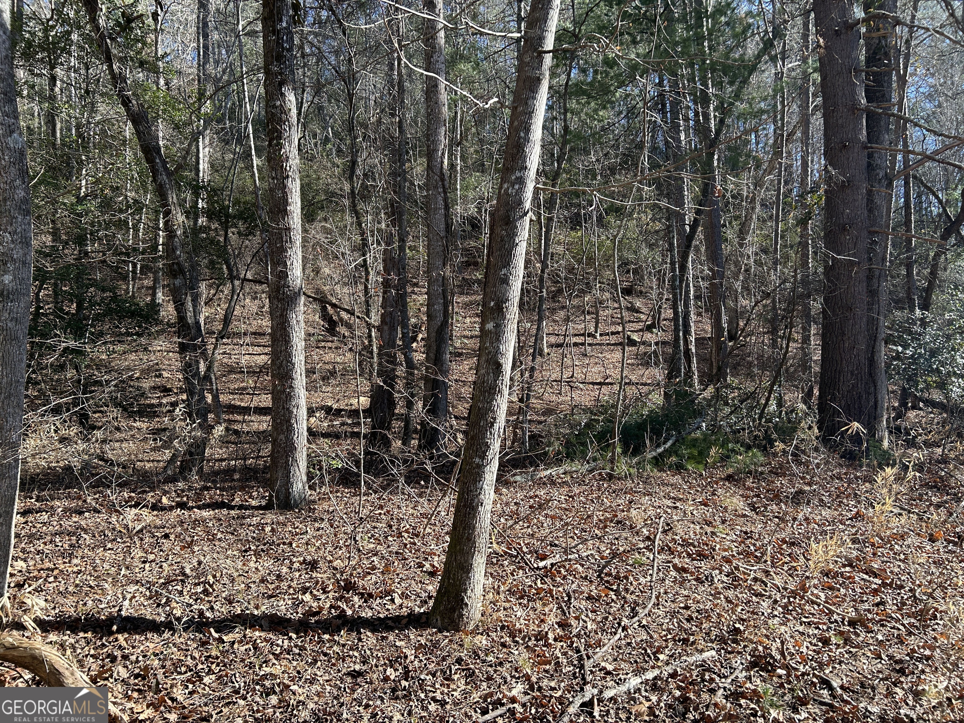 0 Twin River Orchard Road, Unit TRACT 1 Demorest, GA 30535 - Photo 60 of 63 a view of a yard with large trees