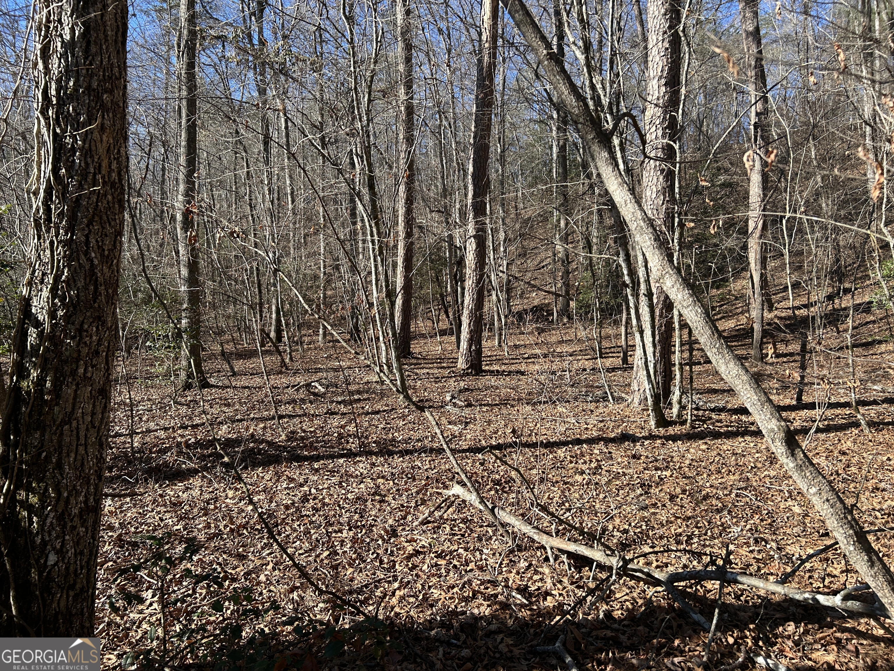 0 Twin River Orchard Road, Unit TRACT 1 Demorest, GA 30535 - Photo 8 of 63 a view of a yard with wooden fence