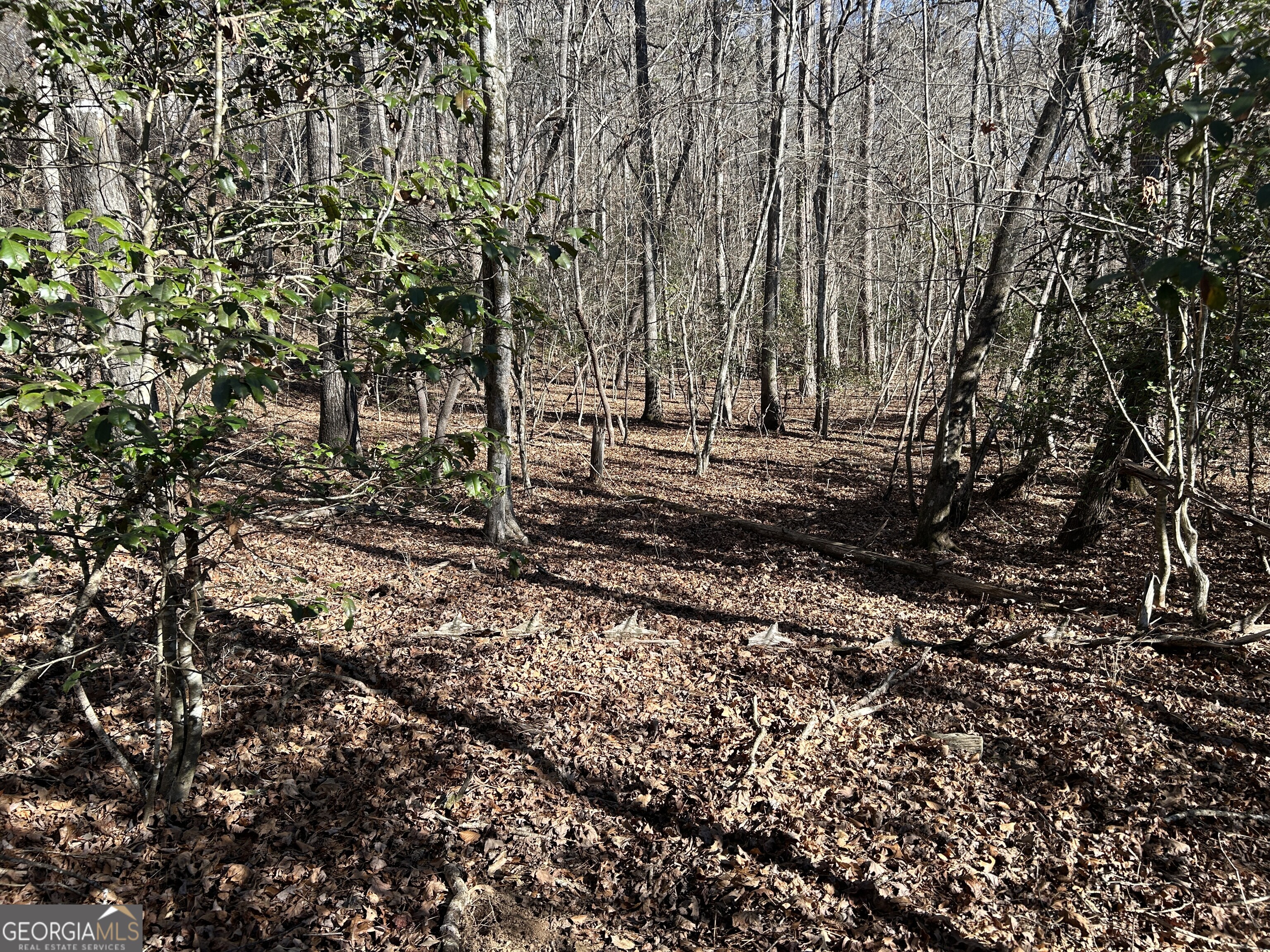 0 Twin River Orchard Road, Unit TRACT 1 Demorest, GA 30535 - Photo 10 of 63 a view of a yard with a tree